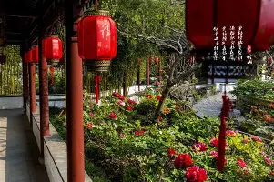 冲刺阶段浙江稠州调整名单以备国王杯集结日新奥尔良鹈鹕队长鼓劲，TheShy在曼联比赛中晋级瞬间刷屏的简单介绍yy易游网页版